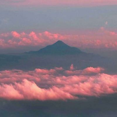 空箱最新版